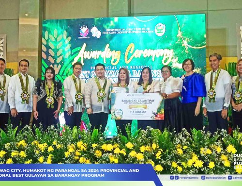 Baliwag City, humakot ng parangal sa 2024 Provincial and Regional Best Gulayan sa Barangay Program Awarding